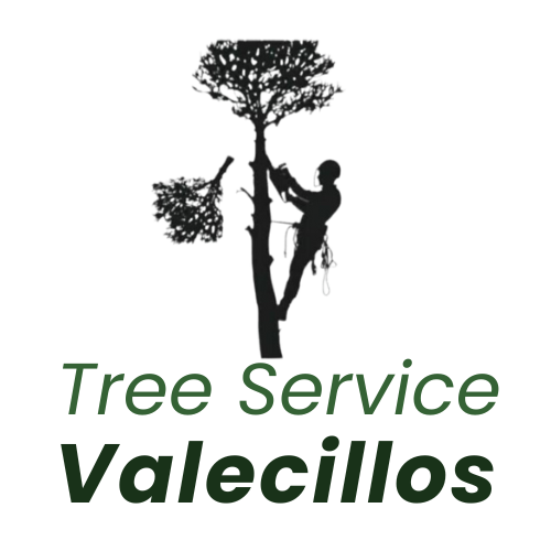 Logo Valecillos Tree Services